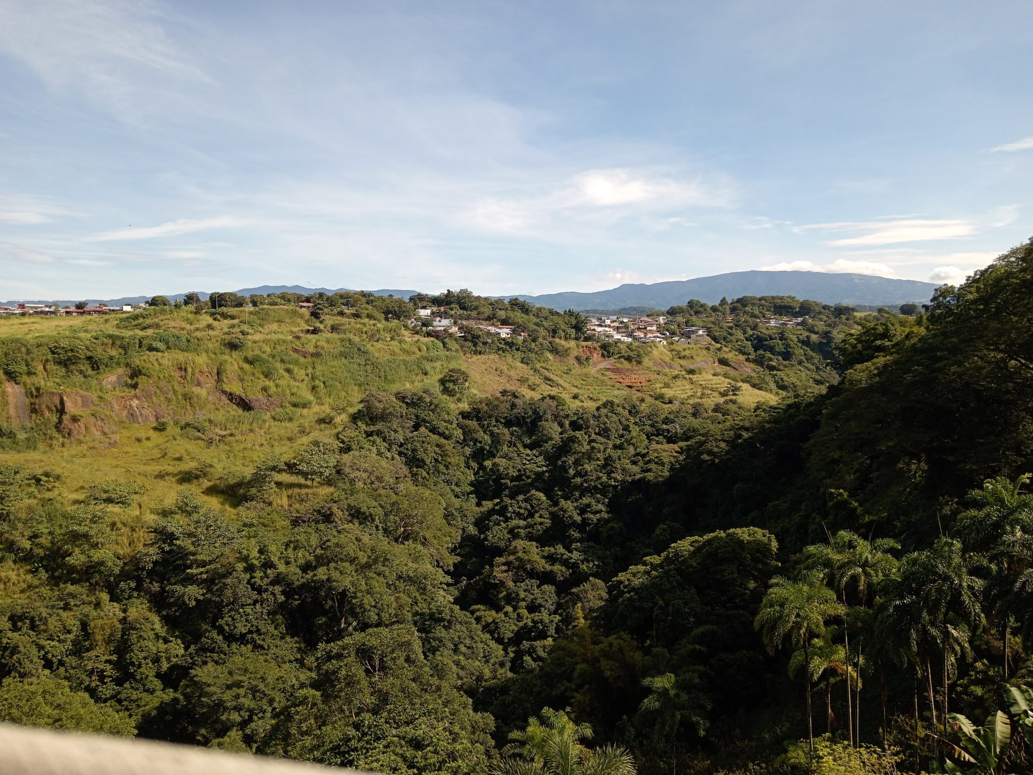 Estrada de terra se dividindo em duas direções em um campo aberto