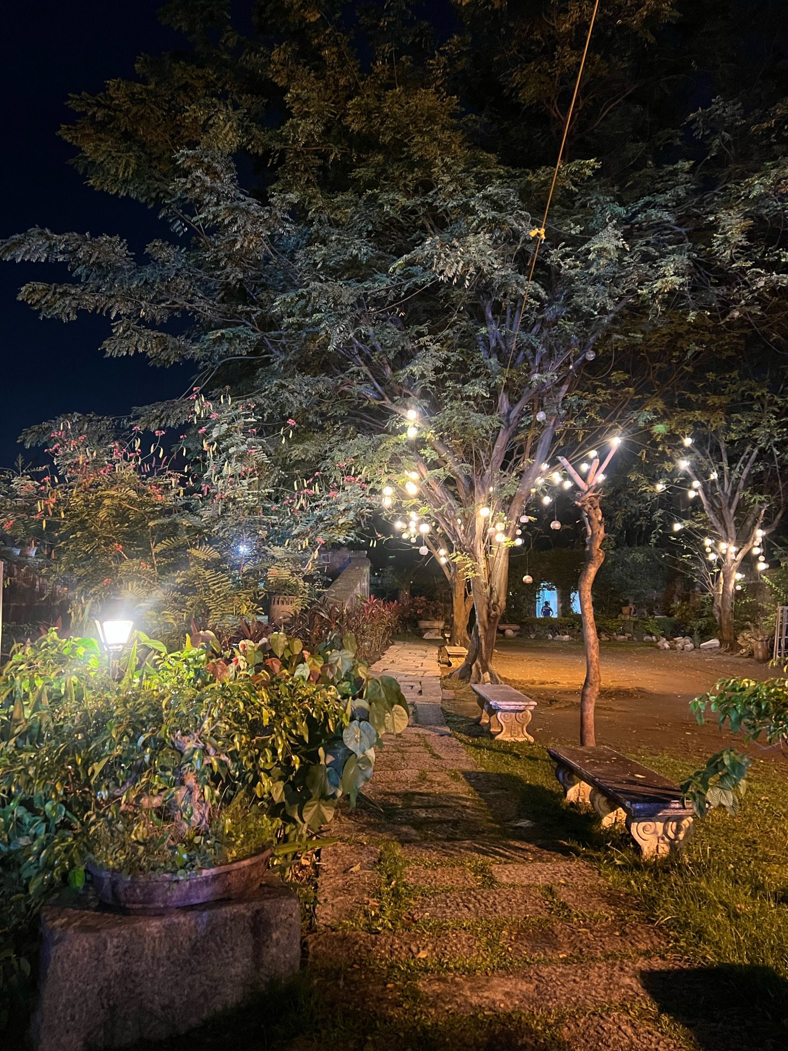Varal de luzinhas acesas no jardim