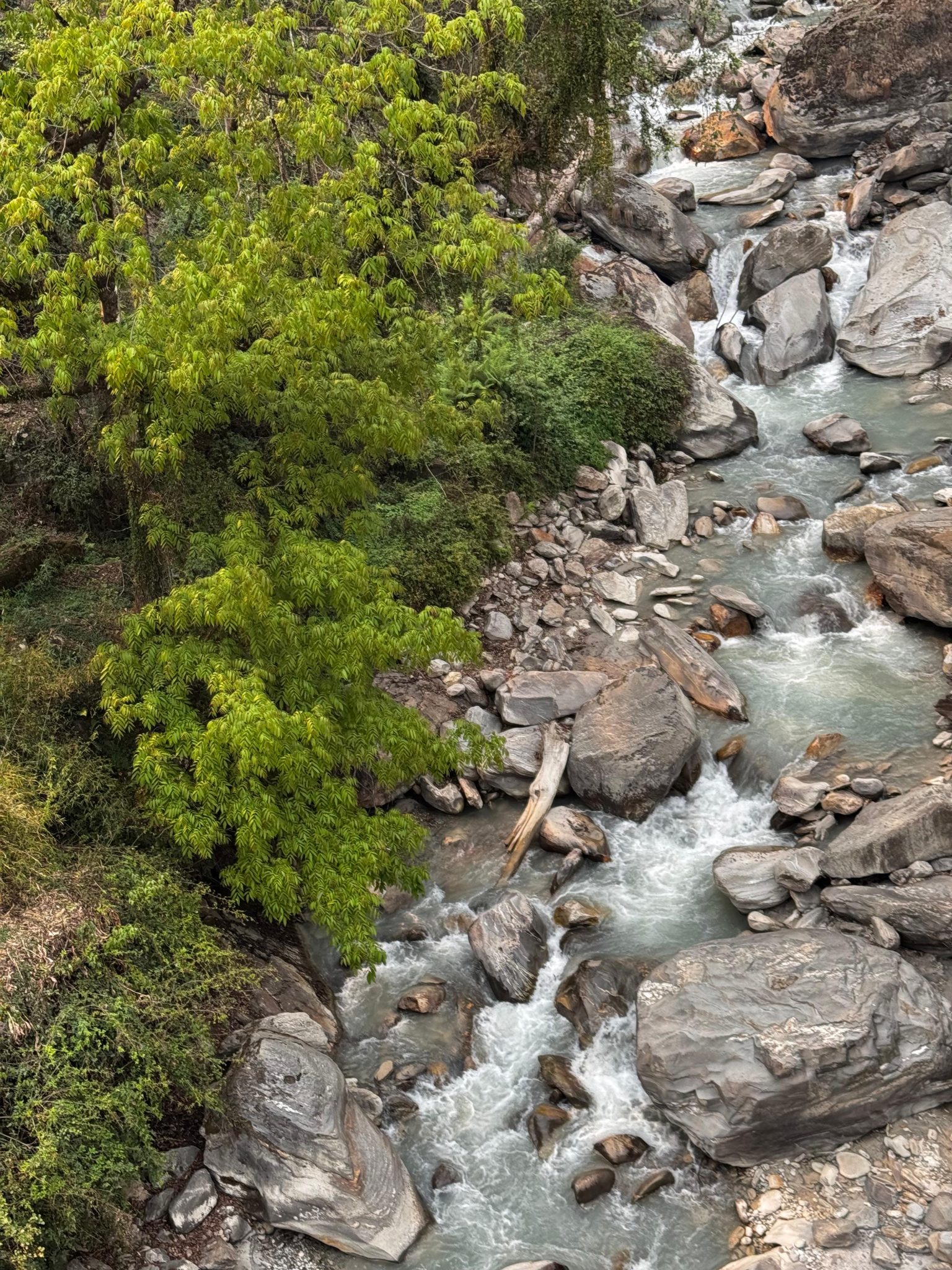 Riacho calmo fluindo sobre pedras lisas em uma floresta